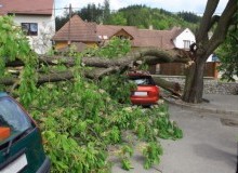 Kwikfynd Tree Cutting Services
redan