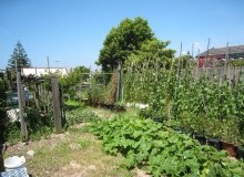 Kwikfynd Vegetable Gardens
redan